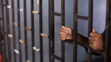 عقوبة السجن لفترة طويلة لنقل عضو من جسد طفل دون إذن وليه.