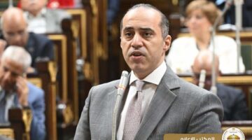 فوزي: مشروع قانون ملكية الدولة يهدف إلى تحسين فاعلية إدارة الممتلكات العامة