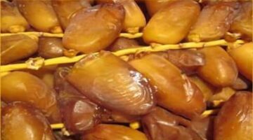 زيادة صادرات مصر من التمور لتتجاوز 1.8 مليون طن: عوامل النجاح والريادة العالمية