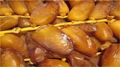 زيادة صادرات مصر من التمور لتتجاوز 1.8 مليون طن: عوامل النجاح والريادة العالمية زيادة صادرات مصر من التمور لتتجاوز 1.8 مليون طن: عوامل النجاح والريادة العالمية
