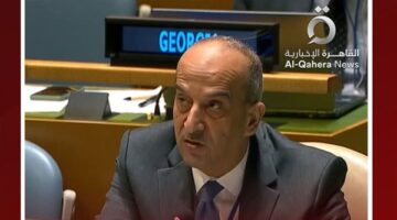 مصر في الأمم المتحدة: الأوضاع في غزة تمثل عارًا على المجتمع الدولي