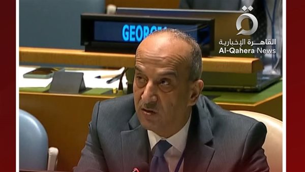 مصر في الأمم المتحدة: الأوضاع في غزة تمثل عارًا على المجتمع الدولي مصر في الأمم المتحدة: الأوضاع في غزة تمثل عارًا على المجتمع الدولي