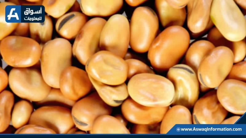 سعر الفول اليوم الأربعاء لدى التجار.. كم يبلغ ثمن أردب الفول البلدي؟ سعر الفول اليوم الأربعاء لدى التجار.. كم يبلغ ثمن أردب الفول البلدي؟