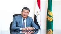 وزير الزراعة يتشاور مع خبراء دوليين حول تحسين الأمن الغذائي في مصر