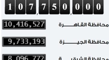 الإحصاءات: زيادة 750 ألف نسمة في تعداد سكان مصر خلال 228 يومًا.