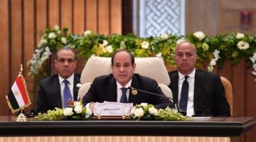 ضياء حلمي: السياسة الخارجية لمصر تجسد التوازن والاعتماد على المسؤولية