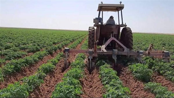 835 صورة فضائية لمراقبة زراعة البطاطس وفحص أكثر من 1.3 مليون طن من الصادرات. 835 صورة فضائية لمراقبة زراعة البطاطس وفحص أكثر من 1.3 مليون طن من الصادرات.