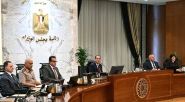 مدبولي يؤكد للمواطنين: لدينا مخزون استراتيجي من السلع يلبي احتياجات الاستهلاك المحلي.