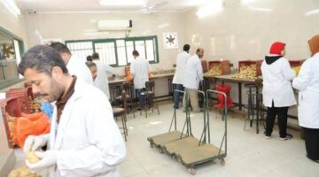 وزارة الزراعة تكشف عن فحص أكثر من 1.3 مليون طن من بطاطس المائدة المخصصة للتصدير