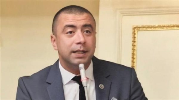 حماة الوطن: مستعدون للتعاون مع الأحزاب الأخرى حماة الوطن: مستعدون للتعاون مع الأحزاب الأخرى