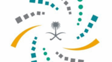 برنامج الابتعاث لخادم الحرمين يعلن بدء التقديم لمسار التوظيف لذوي التوحد المبتدئين.