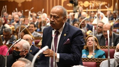 النائب هاني العسال: بيان 21 دولة شدد على أهمية احترام سيادة الدول ووجه تحذيراً بشأن تصرفات الكيان الصهيوني. النائب هاني العسال: بيان 21 دولة شدد على أهمية احترام سيادة الدول ووجه تحذيراً بشأن تصرفات الكيان الصهيوني.