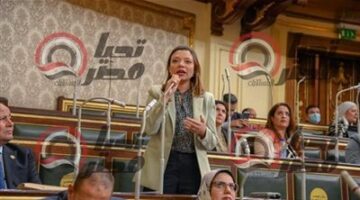 نائبة التنسيقية مي كرم جبر توافق على تعديل قانون تشديد العقوبات المتعلقة بحفر الآبار غير المرخصة.