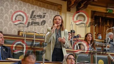 نائبة التنسيقية مي كرم جبر توافق على تعديل قانون تشديد العقوبات المتعلقة بحفر الآبار غير المرخصة. نائبة التنسيقية مي كرم جبر توافق على تعديل قانون تشديد العقوبات المتعلقة بحفر الآبار غير المرخصة.