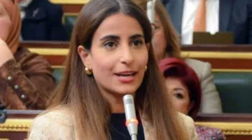 نواب: تصريح الدول الـ21 يعكس تلاحم الموقف العربي والإسلامي تجاه الاعتداءات الإسرائيلية