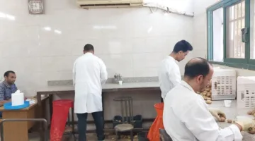 الزراعة تراجع 1.3 مليون طن من البطاطس المخصصة للتصدير منذ بداية الموسم حتى الآن.