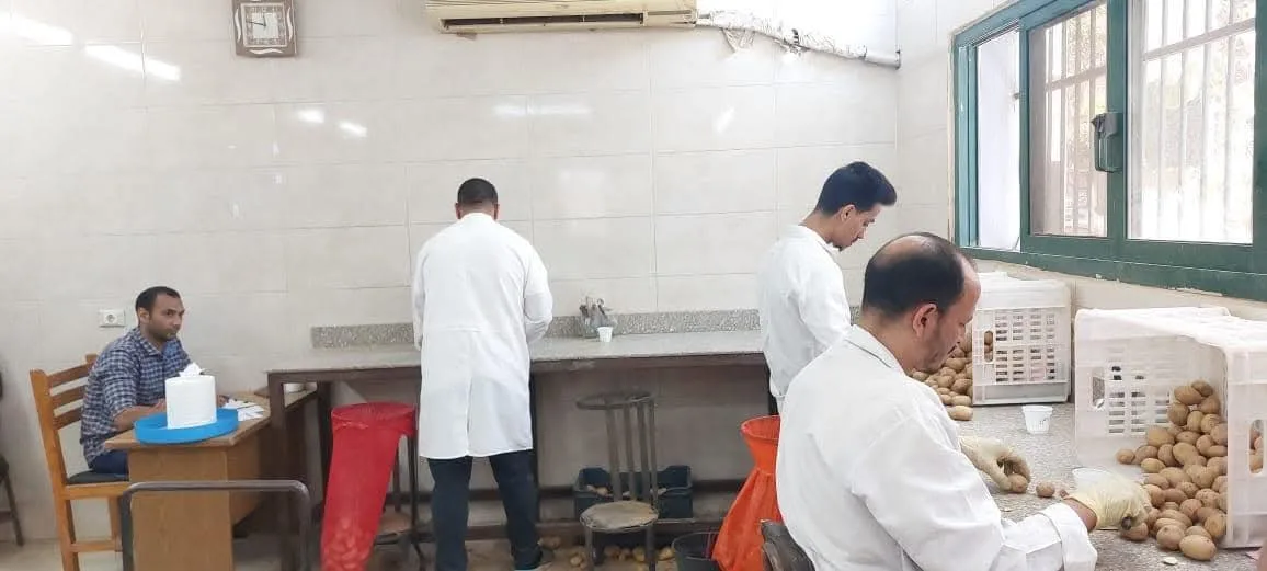 الزراعة تراجع 1.3 مليون طن من البطاطس المخصصة للتصدير منذ بداية الموسم حتى الآن. الزراعة تراجع 1.3 مليون طن من البطاطس المخصصة للتصدير منذ بداية الموسم حتى الآن.