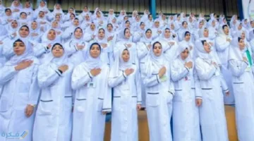 تنسيق قبول مدارس التمريض لعام 2025 بعد المرحلة الإعدادية في المحافظات.. تعرف على الحد الأدنى للمرحلة التعليمية.