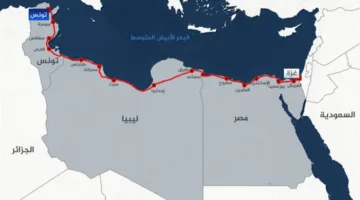 بعد فشلها في الوصول إلى غزة.. قافلة الصمود تعود إلى تونس