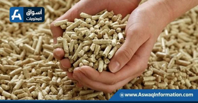 أسعار الأعلاف اليوم الأربعاء لدى التجار: كم بلغ سعر الطن؟ أسعار الأعلاف اليوم الأربعاء لدى التجار: كم بلغ سعر الطن؟