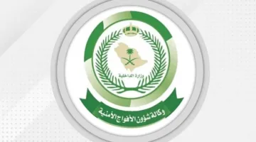 دوريات الأمن في جازان تتصدى لتهريب 49 كيلوغرامًا من نبات القات المخدر