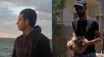 قطة تنجو في حادث انهيار عقار السيدة زينب بينما يفقد صاحبها حياته