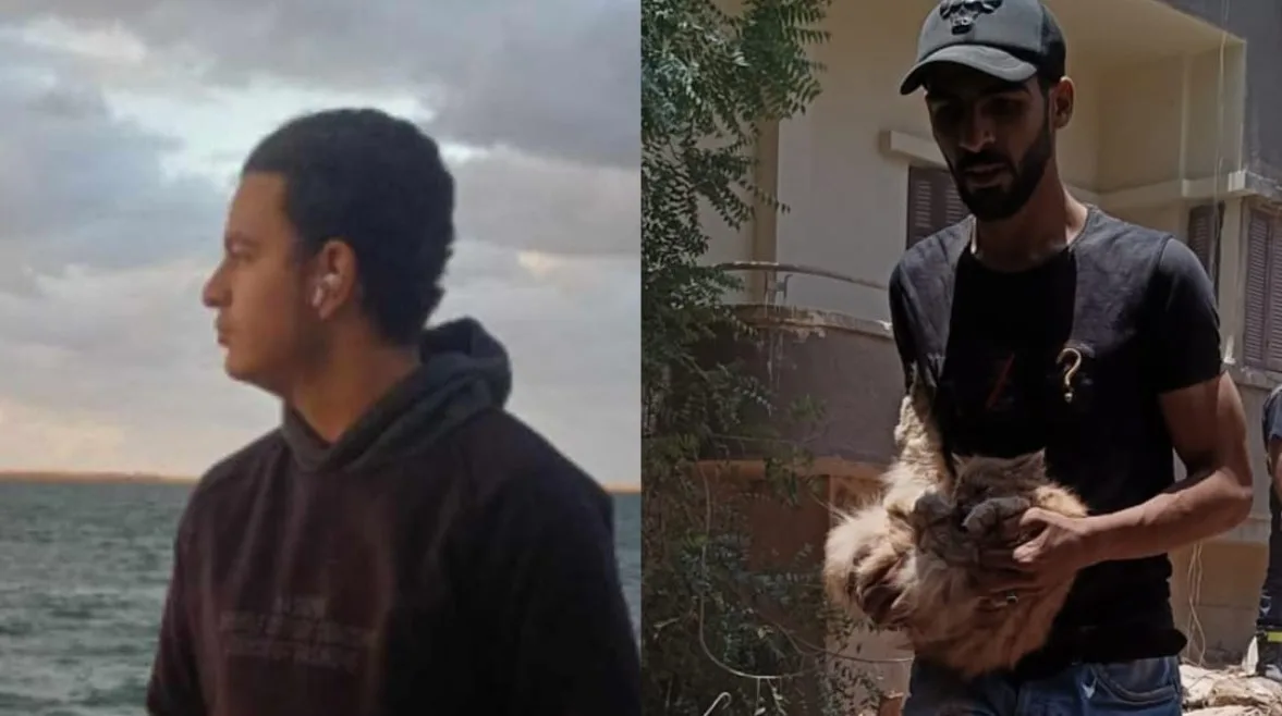 قطة تنجو في حادث انهيار عقار السيدة زينب بينما يفقد صاحبها حياته قطة تنجو في حادث انهيار عقار السيدة زينب بينما يفقد صاحبها حياته