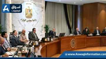 مجلس الوزراء يوافق على اقتراح صيني لتنفيذ مشروعين للطاقة الشمسية بقدرة 1300 ميجاوات