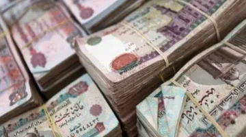 جدول الأجور الدنيا… رسمياً: زيادة الرواتب لشهر يوليو