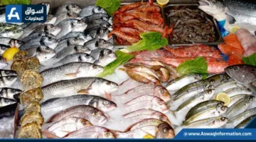 انخفاض أسعار السمك اليوم الأربعاء في سوق العبور