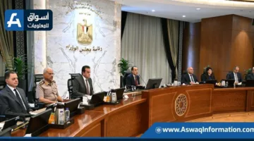 مجلس الوزراء: بدء الإجراءات لإصدار قانون لإنشاء وتشغيل محطة دحرجة “رورو” في ميناء السخنة