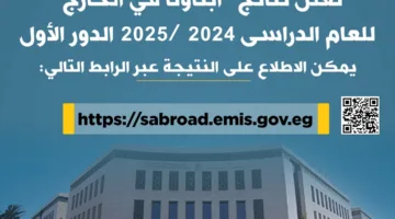 “التعليم” تكشف عن نتائج “أبناؤنا في الخارج” للدور الأول 2025.. رابط الاستفسار