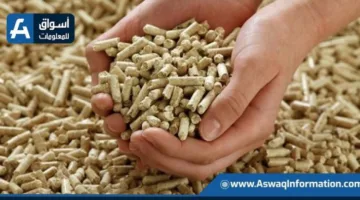 وزارة الزراعة: المخزون الحالي من الأعلاف المستوردة والمحلية كافٍ لثلاثة أشهر ولا يوجد نقص