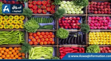 زيادة سعر الخيار: أسعار الخضروات اليوم الأربعاء في سوق العبور