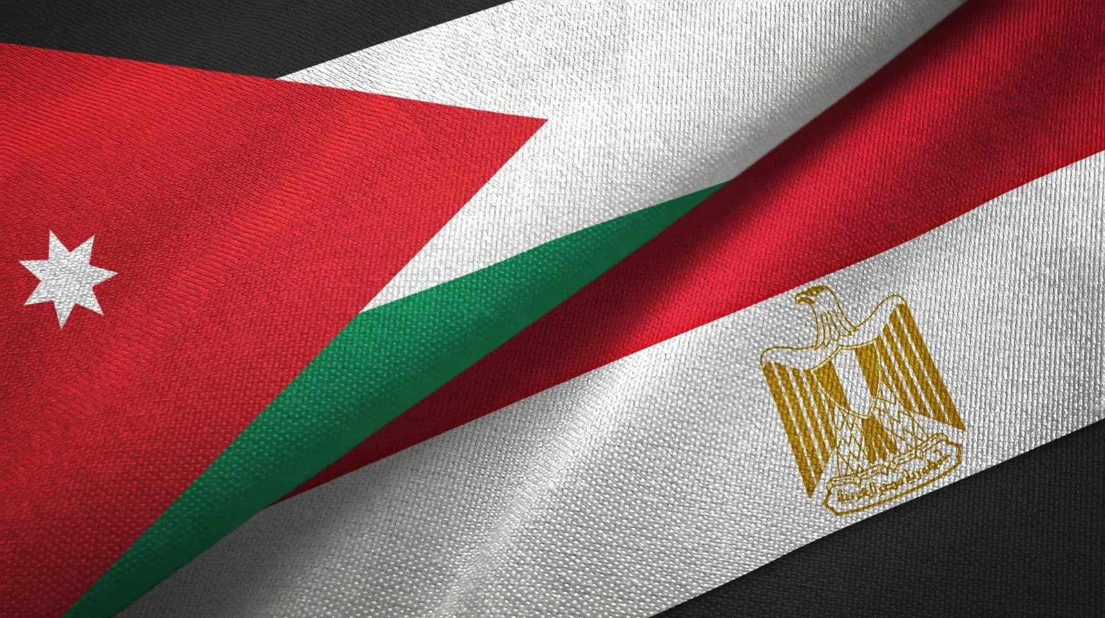 بينما تواجه أزمة الطاقة.. السبب وراء قرار مصر بتصدير الغاز إلى الأردن بينما تواجه أزمة الطاقة.. السبب وراء قرار مصر بتصدير الغاز إلى الأردن