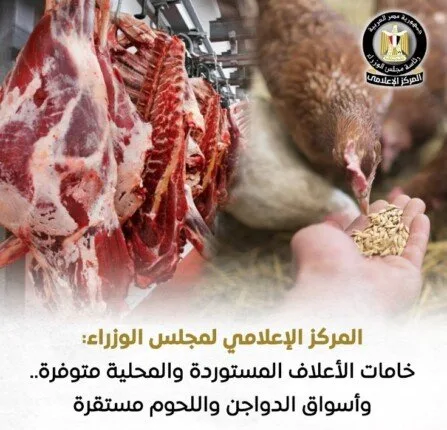 مجلس الوزراء: توفر الخامات المستوردة والمحلية للأعلاف واستقرار في أسواق الدواجن واللحوم مجلس الوزراء: توفر الخامات المستوردة والمحلية للأعلاف واستقرار في أسواق الدواجن واللحوم