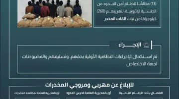 إلقاء القبض على 13 شخصًا بتهمة تهريب 260 كيلوغرامًا من نبات القات في جازان