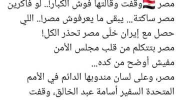 مصر في الأمم المتحدة: كيف يتحول الخطاب إلى حدث جماهيري