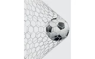 دردشة الملاعب
