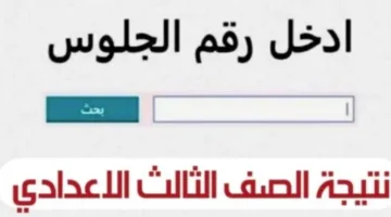 كيفية الاستعلام عن نتيجة الشهادة الإعدادية في القليوبية: خطوات ورابط مباشر