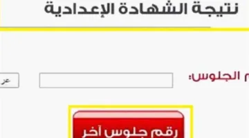 نتائج الصف الثالث الإعدادي في محافظة البحيرة 2025 متاحة الآن إلكترونيًا