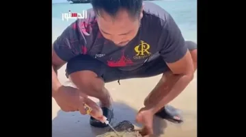 يمكنك القيام بذلك.. مغامر يتناول مخلوقًا بحريًا وهو حي (فيديو)