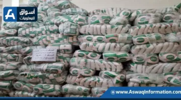 الشركة القابضة للصناعات الغذائية: توفير شهريًا 65 ألف طن من السكر و43 ألف طن من الزيت المعبأ و24 ألف طن من المكرونة و10 آلاف طن من الأرز.