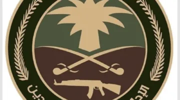 إلقاء القبض على متهم بتوزيع مادة الإمفيتامين وأقراص طبية محظورة في المنطقة الشرقية