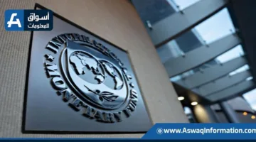 صندوق النقد الدولي: الفرصة مواتية الآن لتعزيز دور اليورو على الساحة العالمية