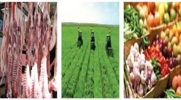 كنوز الأرض محفوظة