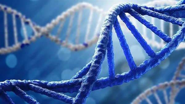 تطوير أسلوب حديث لتشخيص الأمراض الوراثية في روسيا تطوير أسلوب حديث لتشخيص الأمراض الوراثية في روسيا
