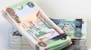 سعر صرف الدرهم الإماراتي مقابل الجنيه المصري اليوم، الجمعة 20 يونيو 2025