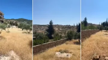 عقارات متاحة للبيع في منطقة عرمتى بقطاع جزين