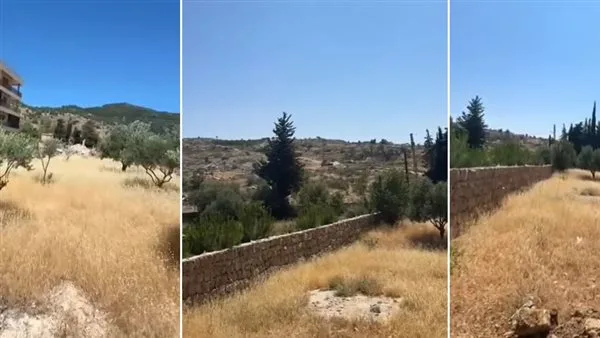 عقارات متاحة للبيع في منطقة عرمتى بقطاع جزين عقارات متاحة للبيع في منطقة عرمتى بقطاع جزين